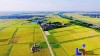 Từ 1/7/2025: Chuyển mục đích sử dụng từ đất nông nghiệp sang đất thổ cư được thực hiện tại UBND cấp xã