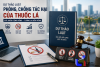 Định hình hành lang pháp lý mới kiểm soát thuốc lá thế hệ mới