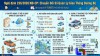 Nghị định 236/2026/NĐ-CP - Hoàn thiện quản lý giao thông đường bộ