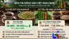 Giá nông sản 26-8: Cà phê bứt phá hướng mốc 100.000 đồng/kg