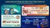 Điểm mới trong xử phạt giao thông: Nới lỏng quy định ghế trẻ em, siết chặt quản lý biển số