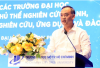 VN sẽ có 20 đại học công lập dẫn đầu nghiên cứu đổi mới sáng tạo