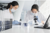 Which Scientific and Technological Risks Are Exempt from Criminal Liability?