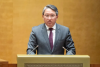 Proposed relaxation of policies on acquiring and regaining Vietnamese nationality