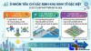 Khu kinh tế đặc biệt cần đáp ứng các tiêu chí nào?