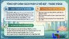 Chính sách mới hiệu lực tháng 9/2026: VNeID, xử phạt pháp lý